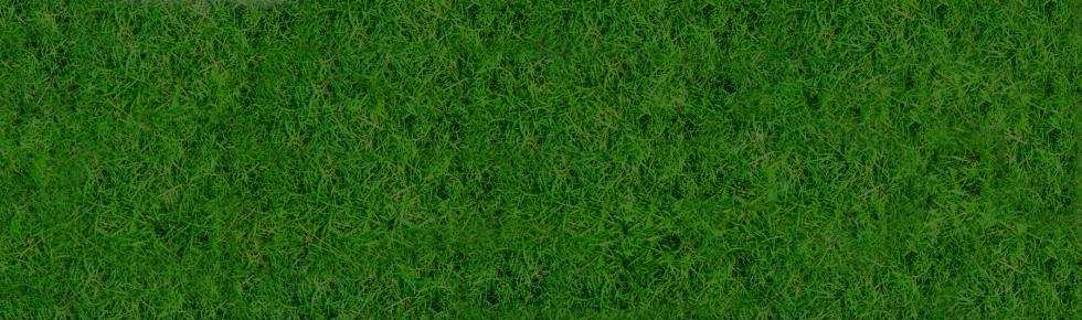 Footer Image